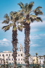 Cathedral tower bell among palm trees in Bari old town, Puglia or Apulia, southern Italy, vertical