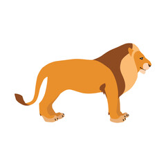 Animal illustration. Standing lion drawn in a flat style. Isolated object on a white background. Vector 10 EPS