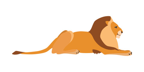 Animal illustration. Lying lion drawn in a flat style. Isolated object on a white background. Vector 10 EPS