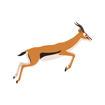 Animal illustration. Running Thomson's gazelle drawn in a flat style. Isolated object on a white background. Vector 10 EPS