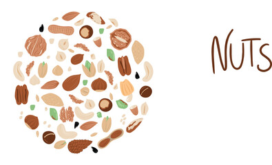 Big set of nuts and seeds in circle form. Various nuts isolated on white, pecan, macadamia, brazil nut, walnut, almonds, hazelnuts, pistachios, cashews, peanuts. Top view vector flat. Vector