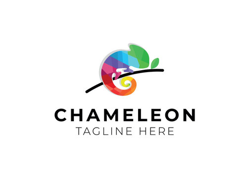 colorful chameleon logo design vector