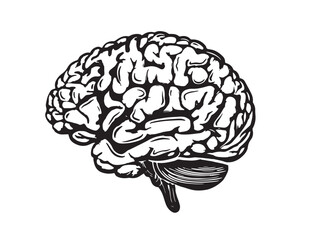 Brain hand drawn illustration, vector.