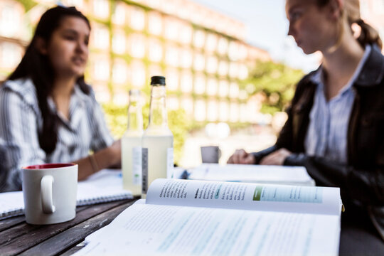 Female students learning at cafe outside library during study session.