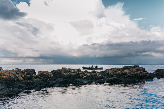 People on boat on sea on porpoise safari