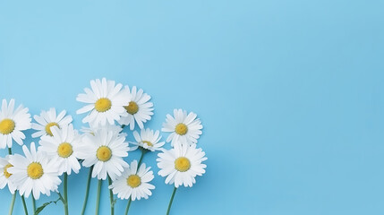 Fototapeta premium Chamomile background. Illustration AI Generative.