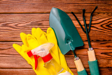 Garden tools on the background of a brown wooden table
