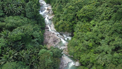 Fototapeta na wymiar Jungle. Aerial view of a mountain river in a tropical forest. A mountain river flows through the jungle in a tropical rainforest.