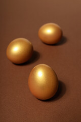 Concept of wealth and retirement - golden eggs
