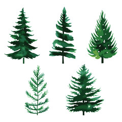 Christmas trees vector illustration Artwork