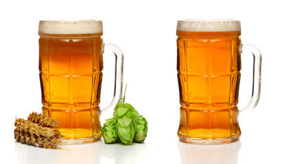 glass of foamy beer with hop cones and wheat isolated on white background