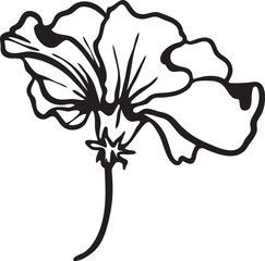 Hibiscus flower. hand drawn illustration. Vector outline. Isolated. Botanical hand painted hibiscus flowers, leaf branch line art. Design for wallpaper, banner, print, poster, cover, greeting © Elena