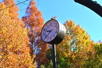 紅葉の中に佇むアナログ時計