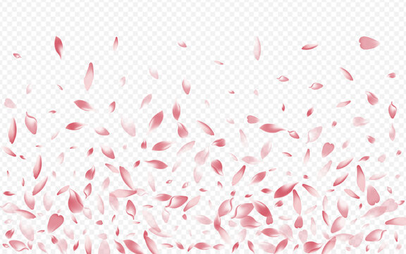 Bright Confetti Vector Transparent Background.