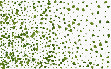 Forest Foliage Forest Vector Transparent
