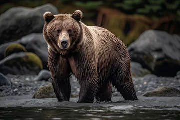 Fotobehang Grizzly Bear of Shores of Alaska © rufous