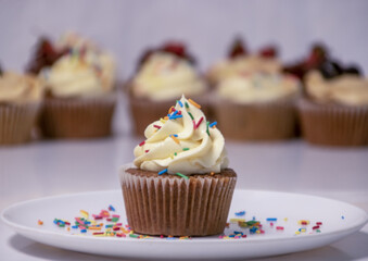 Cupcake decorated with rainbow sprinkles with blurred cupcakes in the background