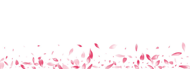 White Apple Petal Vector Panoramic Background.