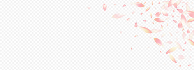 White Flower Vector Panoramic Transparent