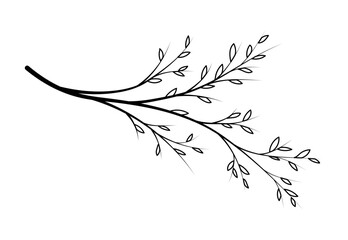 Obraz premium Line art branch. Exotic tree or tropical bushes. Biology and wild life, flora, botany. Minimalist creativity and art. Sketch for tattoo, hand drawn. Cartoon flat vector illustration