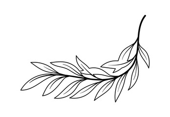 Line art branch. Hand drawn foliage with stem. Leaves for bouquet for Valentines Day and wedding. Aesthetics and elegance, minimalist creativity and art. Cartoon flat vector illustration