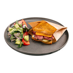 appetizing pastrami sandwich with salad