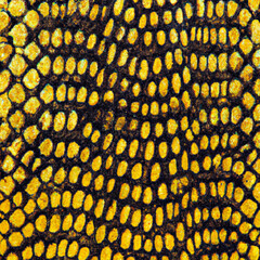 Serpent skin texture (Generative AI)