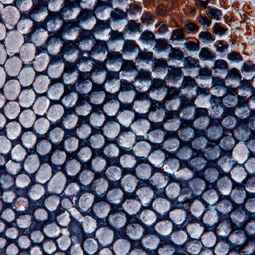 Serpent skin texture (Generative AI)
