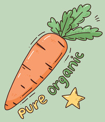 Organic vegetable vector illustration