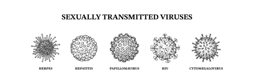 Sexually transmitted viruses. Hand drawn set of microorganisms. Scientific vector illustration in sketch style