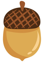 Brown fall acorn isolated on white