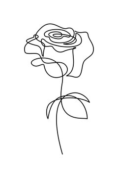 Rose flower in continuous line art drawing style. Black linear sketch isolated on white background. Vector illustration