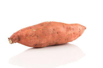 Sweet potato on the white background