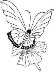 Our elegant black and white butterfly and flower illustrations feature delicate details that create timeless and sophisticated artwork. Perfect for home decor, stationery, and invitations.