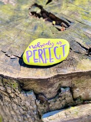 Painted stone with NOBODY IS PERFECT text on a tree stump