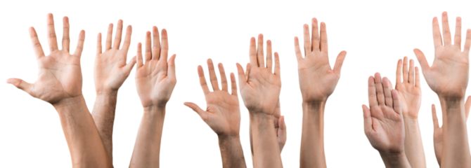 Set of raised hands, isolated on white