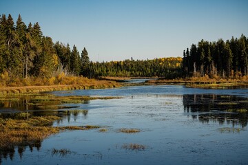 Lush autumn trees on the shore of a lake in Prince Albert National Park, Saskatchewan