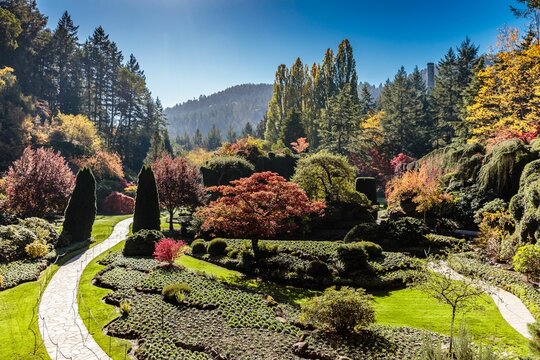 Gardens of Butchart in Victoria BC Canada, scenic view of colorful flowers blooming