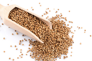 Coriander seeds in wooden scoop
