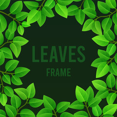 Square frame of young green leaves with a round opening on a dark background. Vector illustration, design element.
