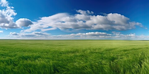 Fototapeta premium Empty green field and blue sky with rare clouds. Generative AI