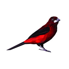 Polygon Roter Vogel