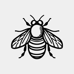 Honey bee Hand drawn vector vintage style illustrations.