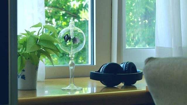 Bright window with a radiometer