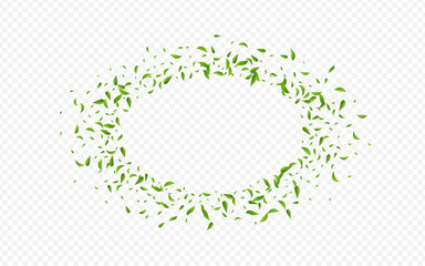 Mint Greens Flying Vector Transparent Background