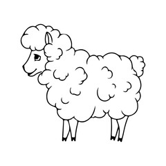 Fluffy sheep in cartoon style. Livestock, animal, Farming. Farm. Fur. Vector illustration isolated on white background. Coloring book