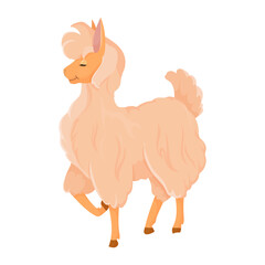 Fluffy llama. Alpaca. Livestock, animal, Farming. Farm. Vector illustration isolated on white background.