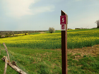 Schild von Wanderweg vor Wiesenlandschaft mit Weg, Blumen und Bäumen vor blauem Himmel bei...