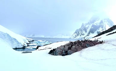 Gordijnen Scenic shot of a snow-covered coast and huge glaciers of Antarctica, cool for background © Rj38/Wirestock Creators