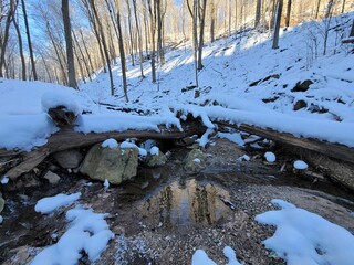 Scenic shot of water in a puddle in a forest in winter in Canada